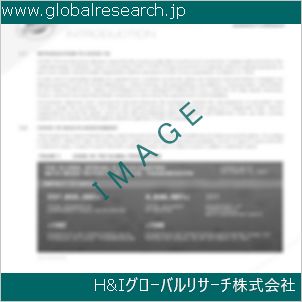 グローバルリサーチ調査資料のイメージ